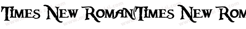 Times New Roman(Times New Roman)字体转换